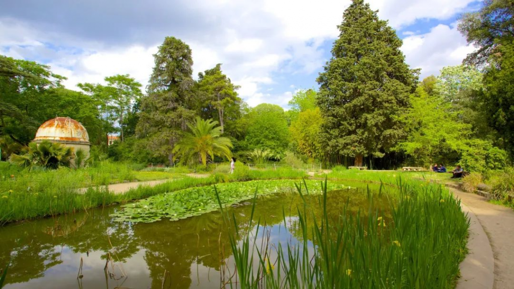 蒙彼利埃植物园 Jardin des plantes de Montpellier